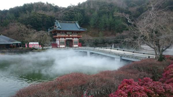 勝尾寺、池_コピー